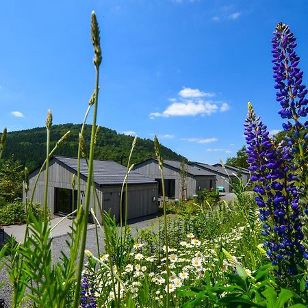Sauerland Lodge - Haus Juliana 빈터베르크 외부 사진