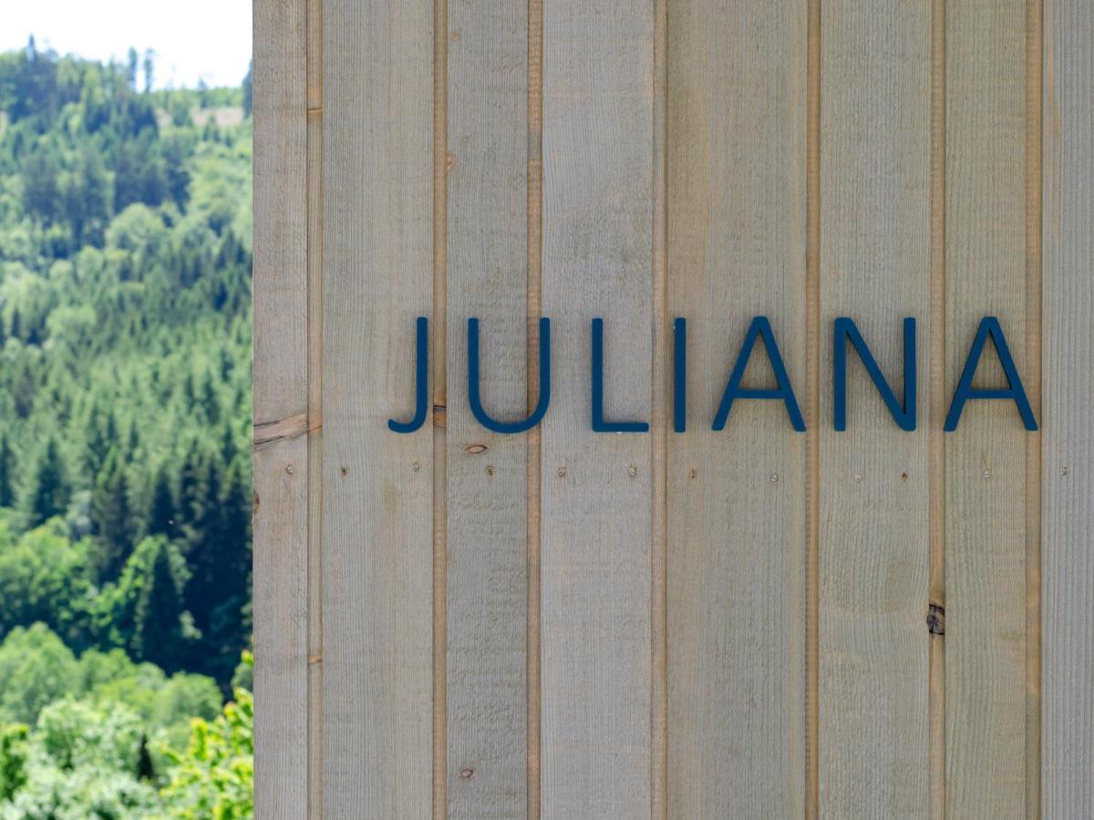 Sauerland Lodge - Haus Juliana 빈터베르크 외부 사진