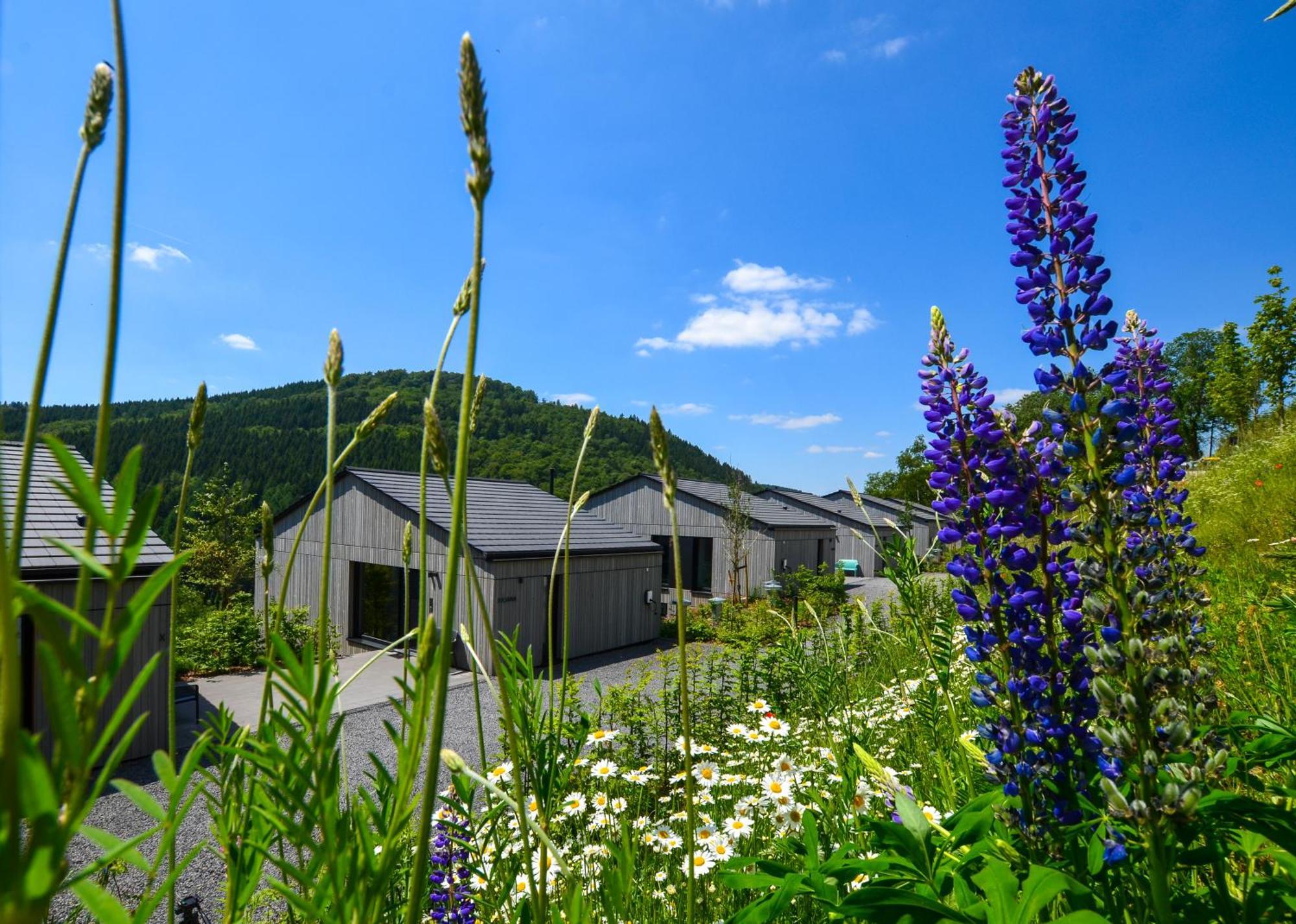 Sauerland Lodge - Haus Juliana 빈터베르크 외부 사진